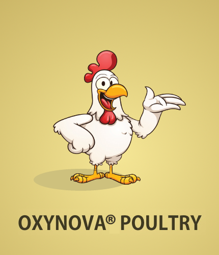 OXYNOVA POULTRY